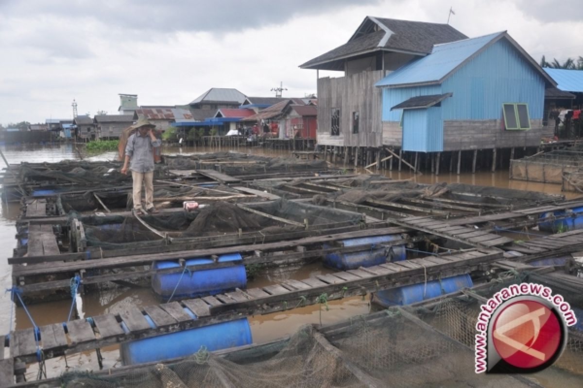 Keramba Ikan Sungai Martapura Melanggar Aturan 