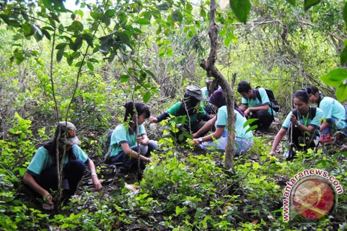 Luas Hutan Tanah Laut 132,645 Hektare