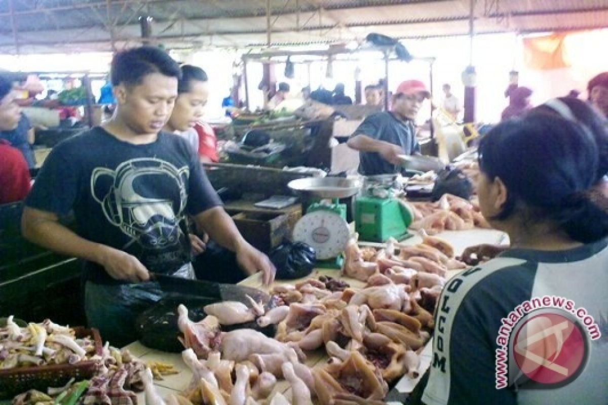 Harga daging ayam potong di Palembang turun