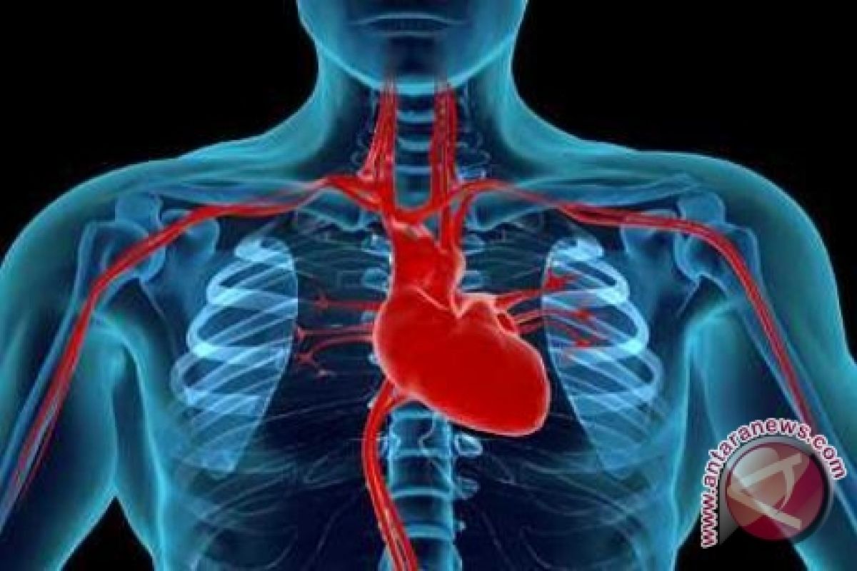 Gaya Hidup Tidak Sehat Sebabkan Serangan Jantung