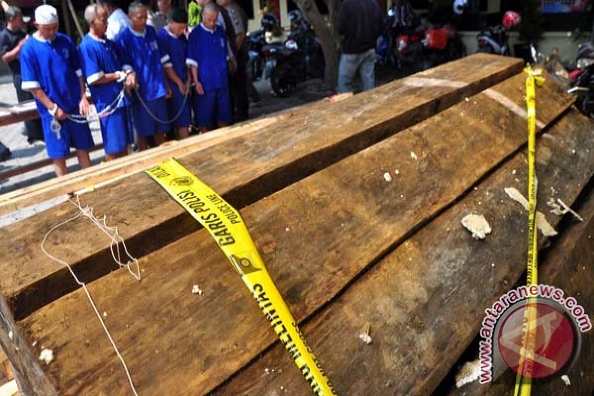 Polres Balangan amankan ratusan kubik kayu ilegal