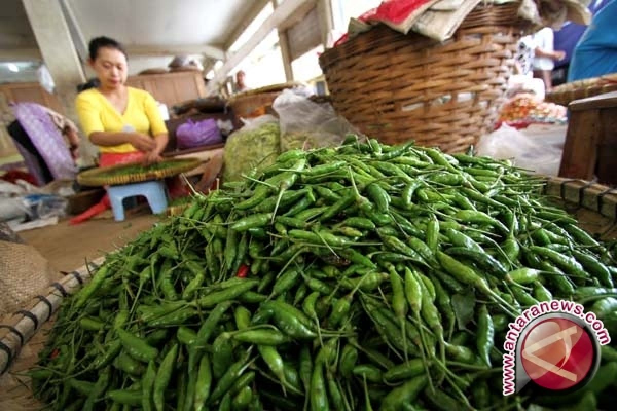 Pedagang Pangkalpinang Masih Sulit Tambah Stok Cabai