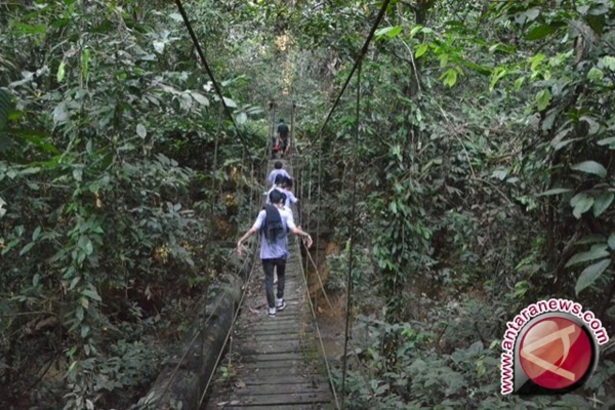 Kalbar Kembangangkan Wisata Alam-Hutan Tropis