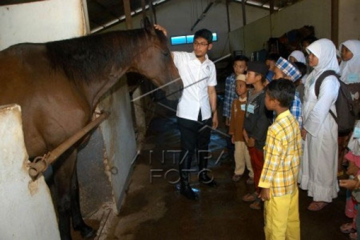 IPB ajak anak yatim mengenal kuda