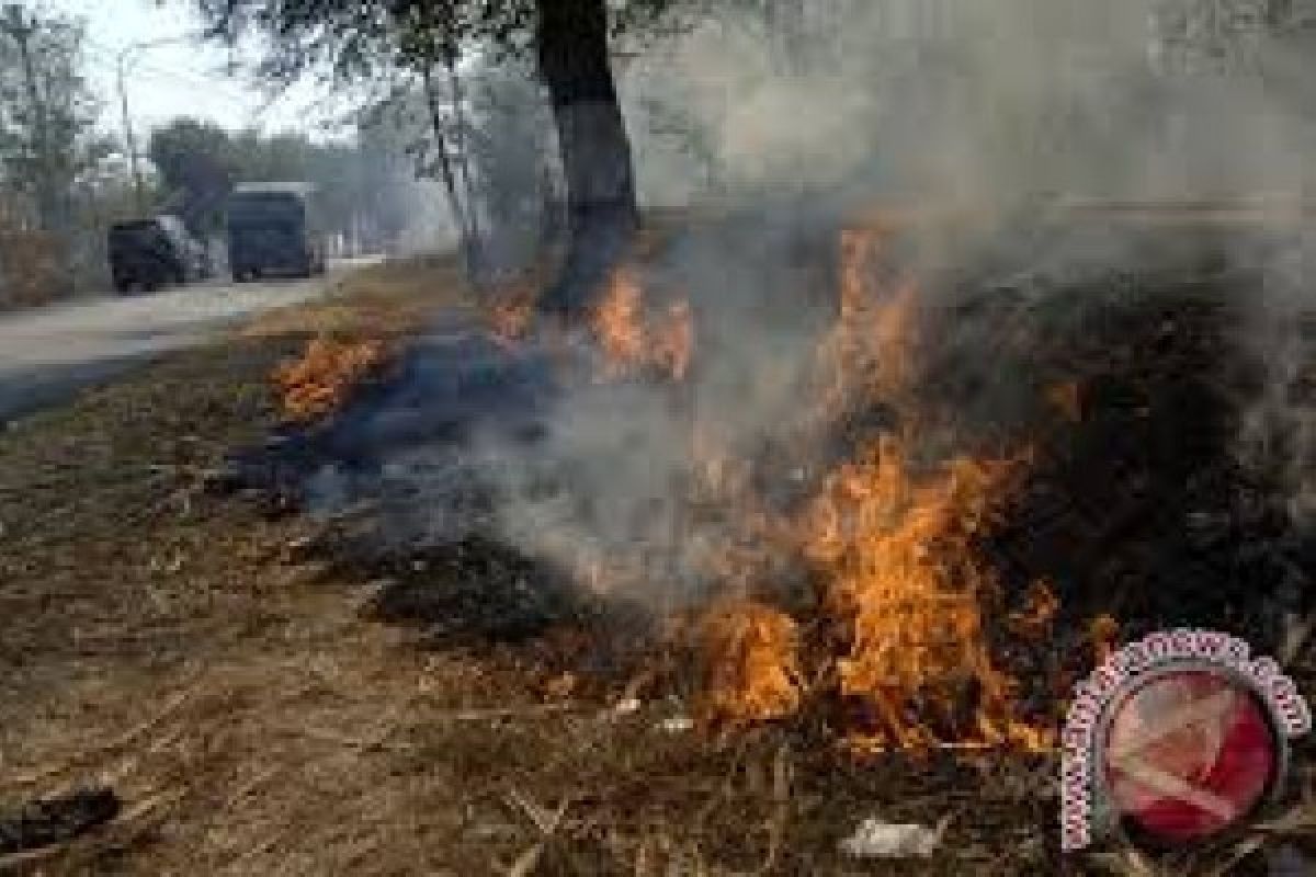 Karhutla di Sawahlunto Berhasil Dipadamkan