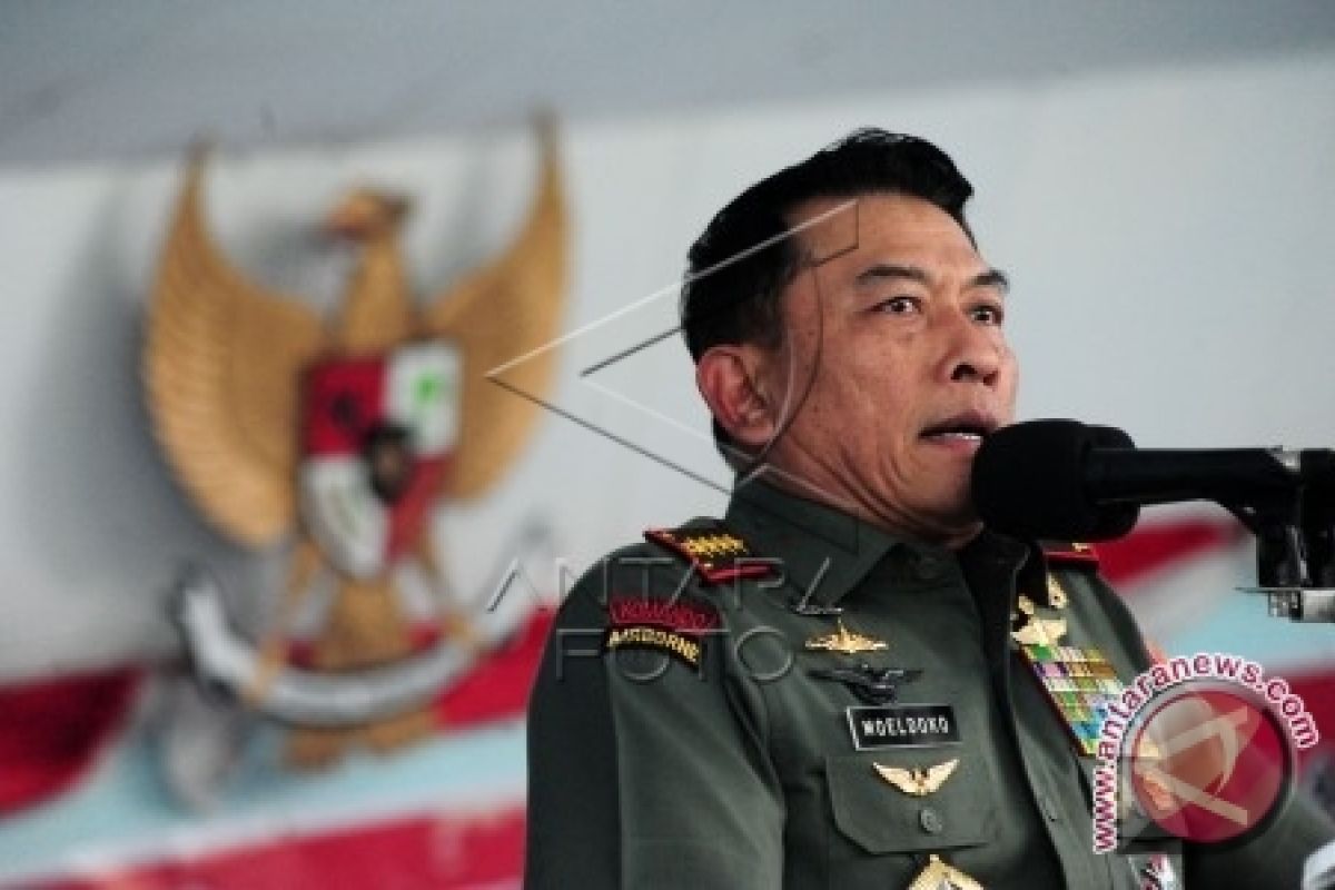 Panglima TNI Soal Pesta Pelantikan Presiden