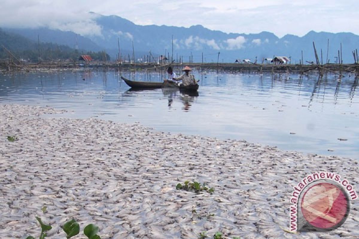 Perlu Aksi Nyata Selamatkan Danau Maninjau