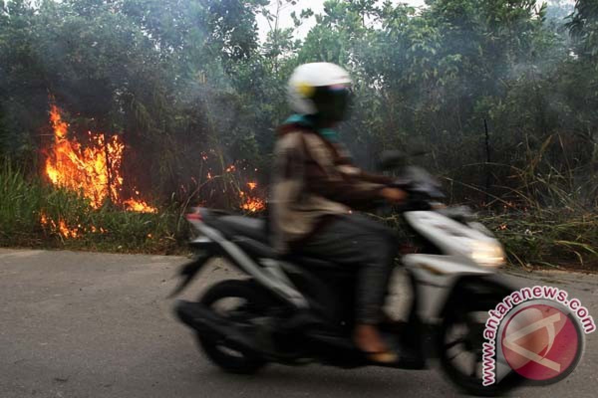 Kabut asap selimuti Banjarbaru Kalsel