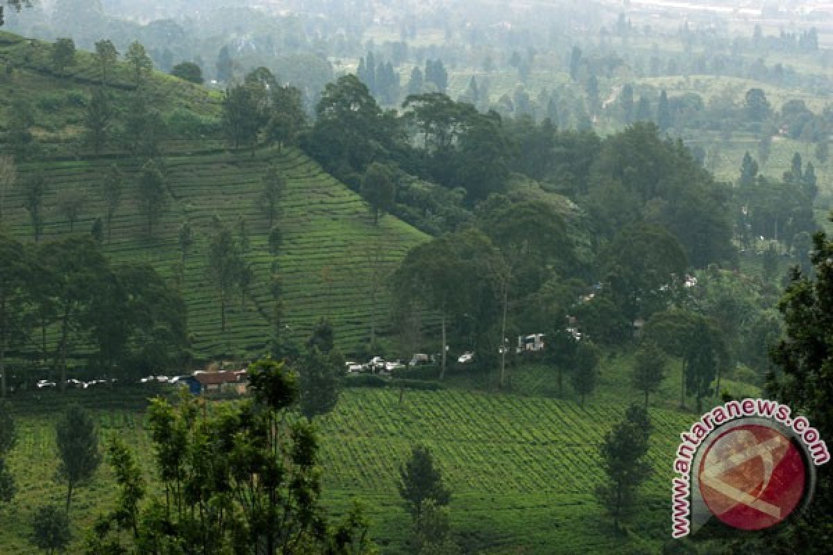 Informasi jalur Puncak amblas cuma "hoax'