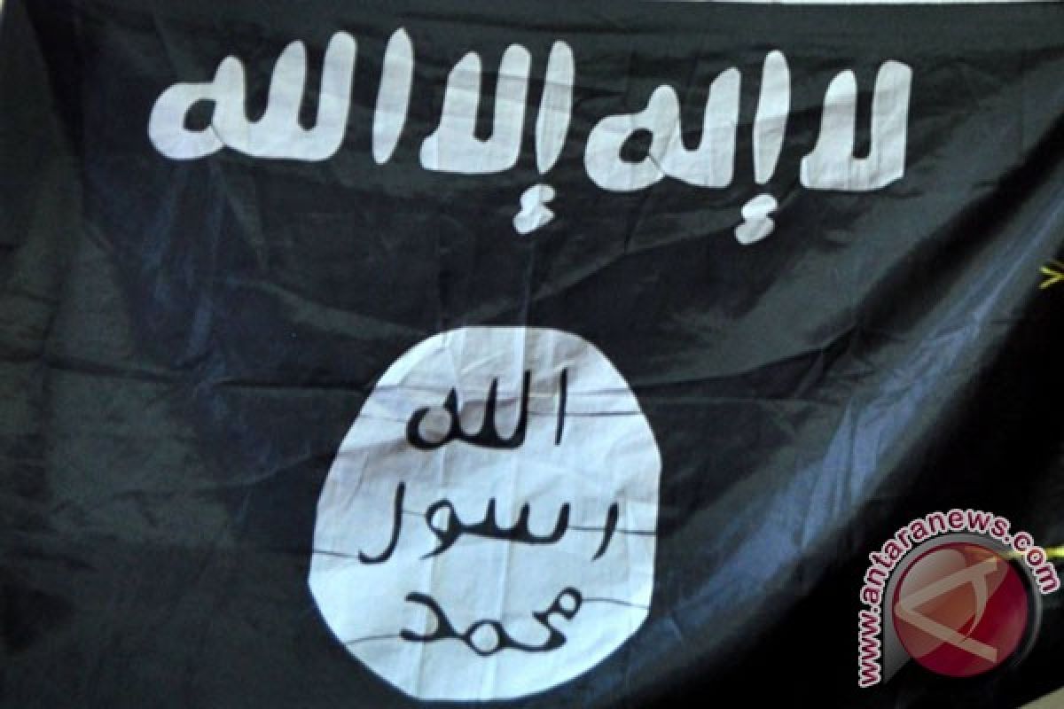 Berbendera ISIS, ini pola biadab teroris bunuhi jemaah salat Jumat di Mesir