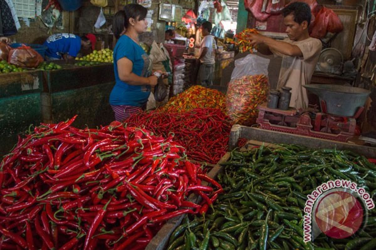 BPS: harga bahan pangan sumbang deflasi Februari