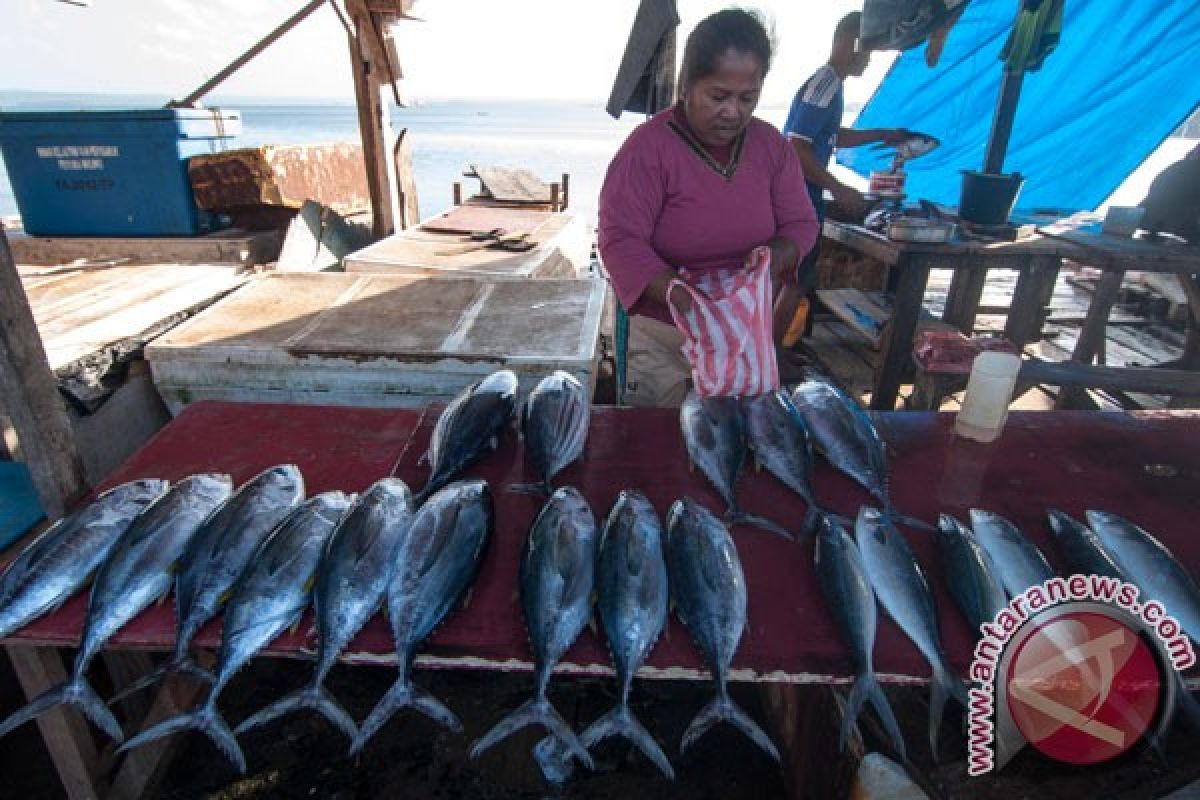 Cuaca Maluku dipengaruhi tekanan rendah di utara Australia