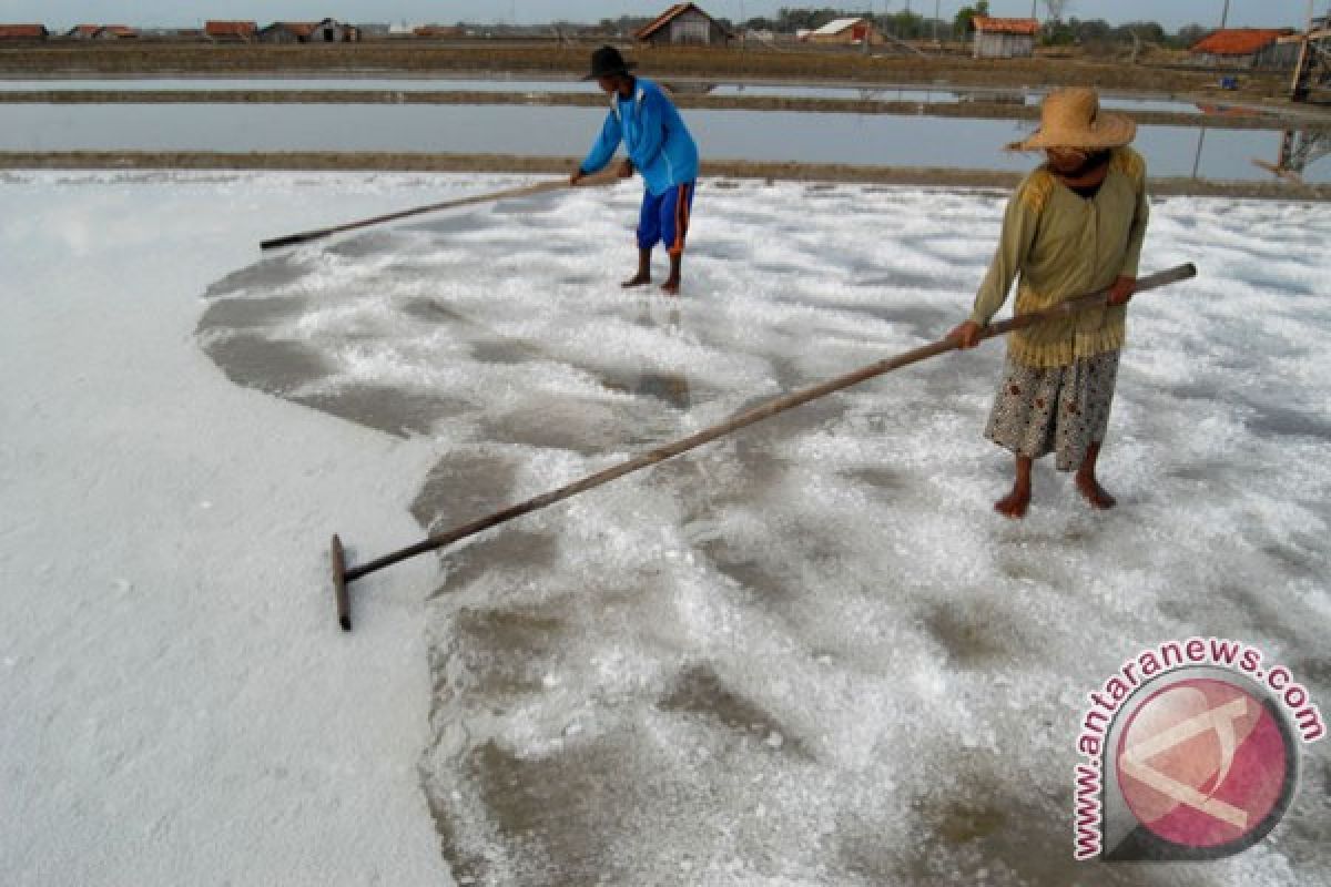 Indonesian government to revise regulation on salt imports