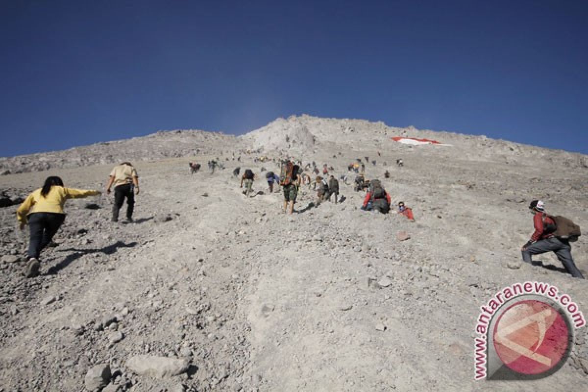 Jalur pendakian puncak Merapi kembali dibuka