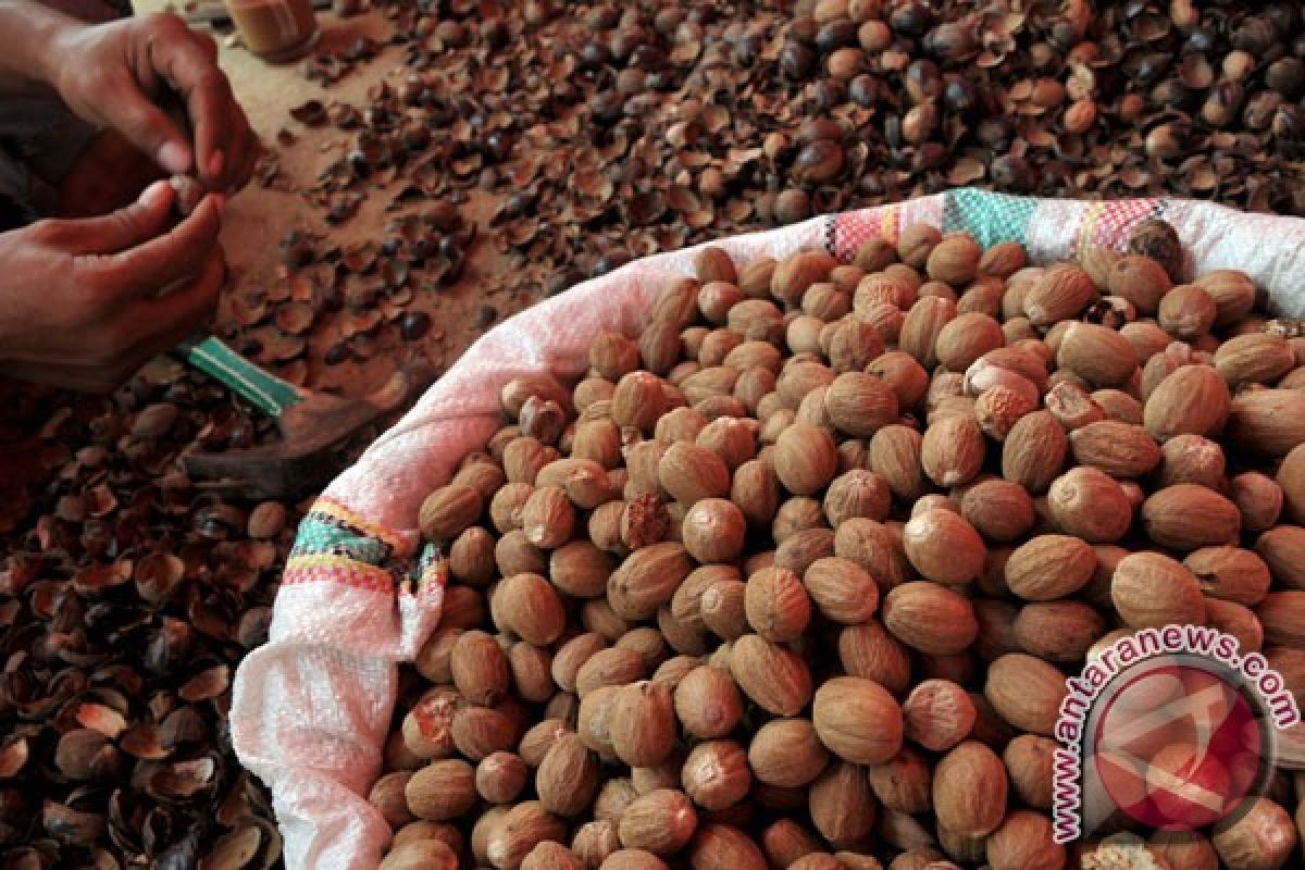 Petani gembira, Fuli Pala capai harga tertinggi