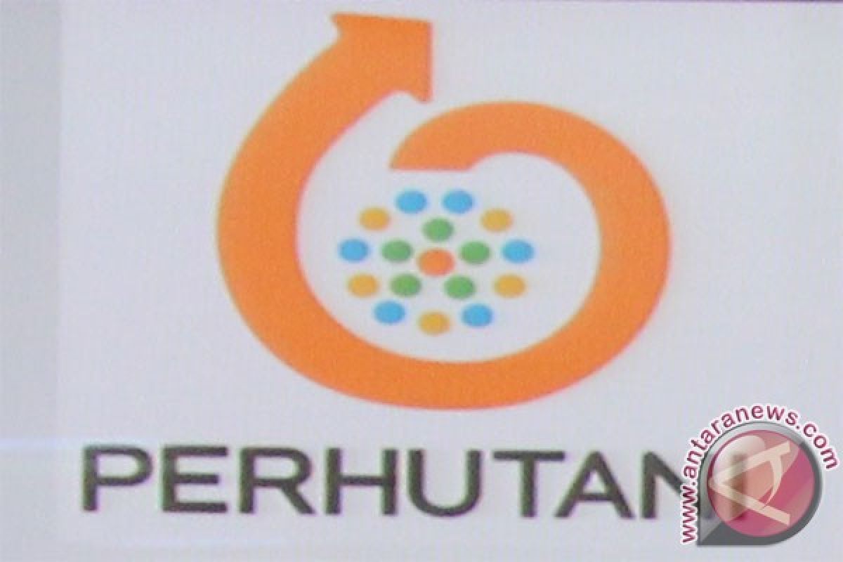 Perlambatan ekonomi hambat penjualan Perhutani