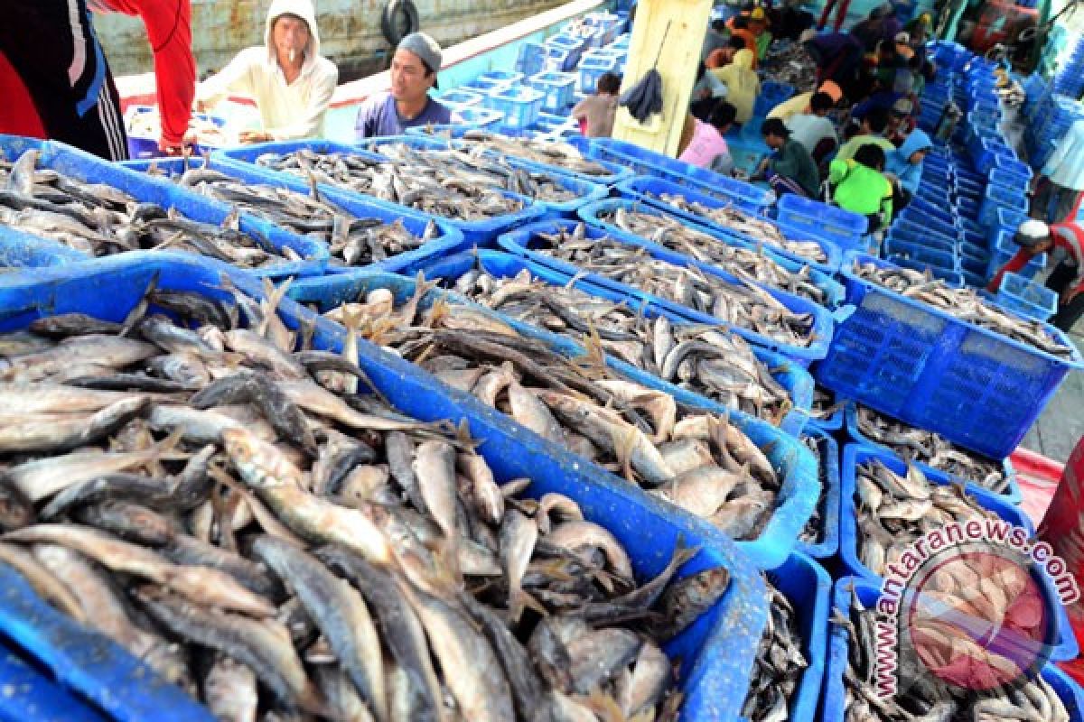 Kerajinan abon ikan di Lebak tumbuh pesat