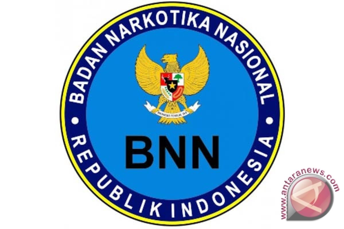 BNN Cianjur Awasi Tanaman 