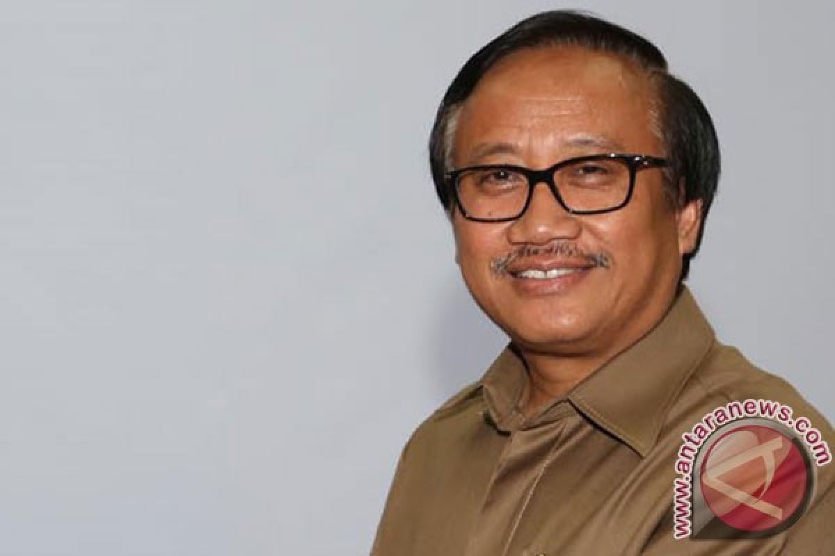 Merauke to contribute to country`s production of unhulled rice