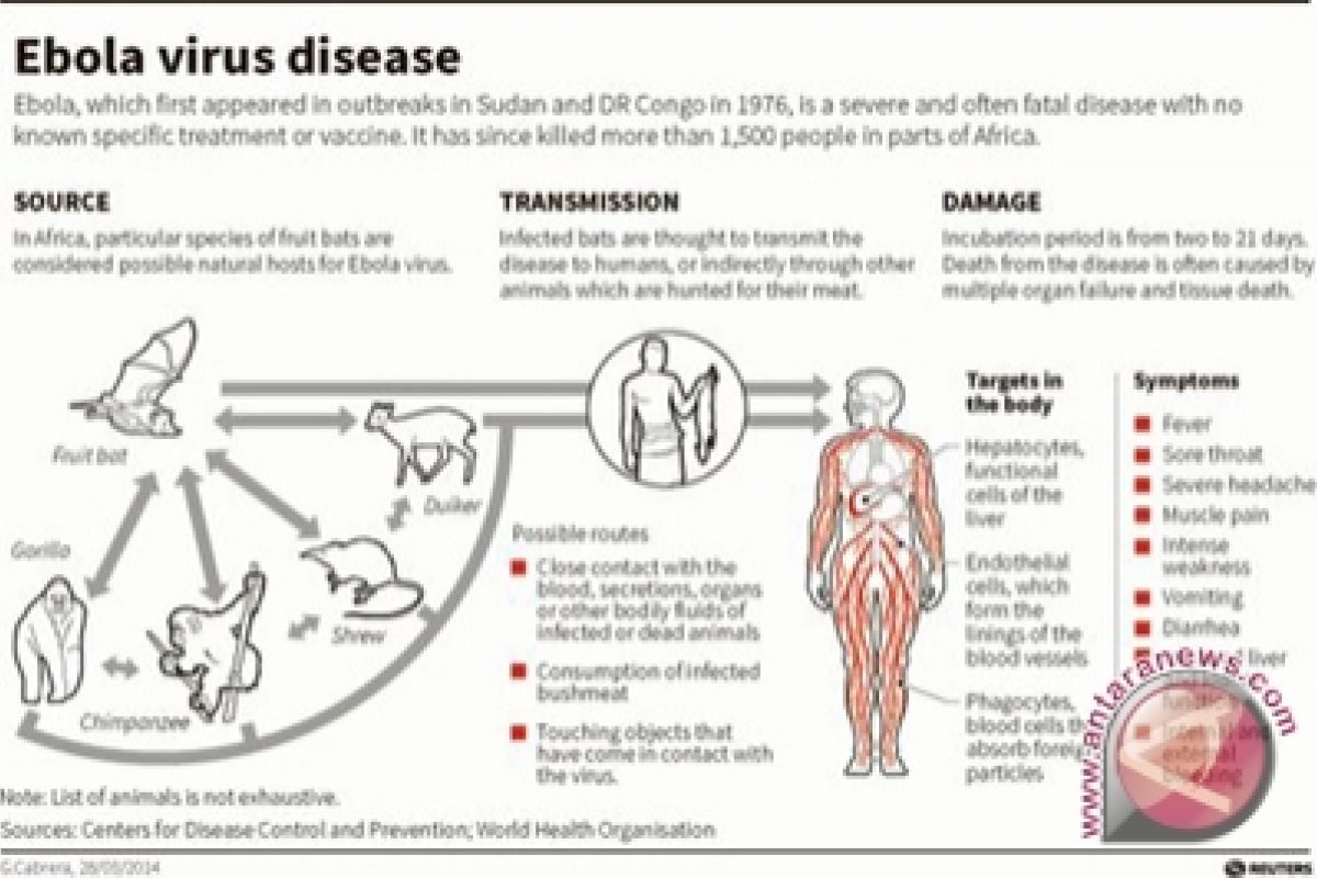 Pemerintah diminta segera susun strategi mitigasi ebola 