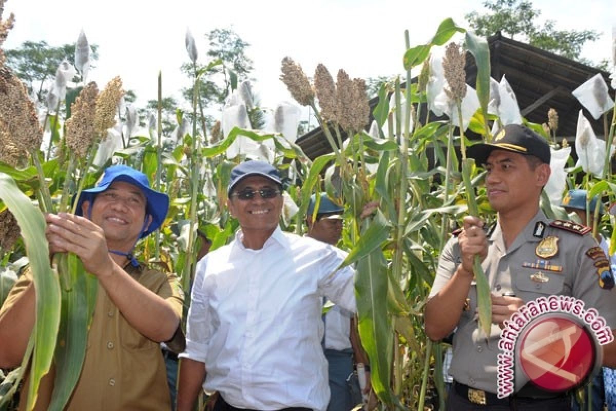 Beribu keruwetan untuk 8.000 hektar lahan