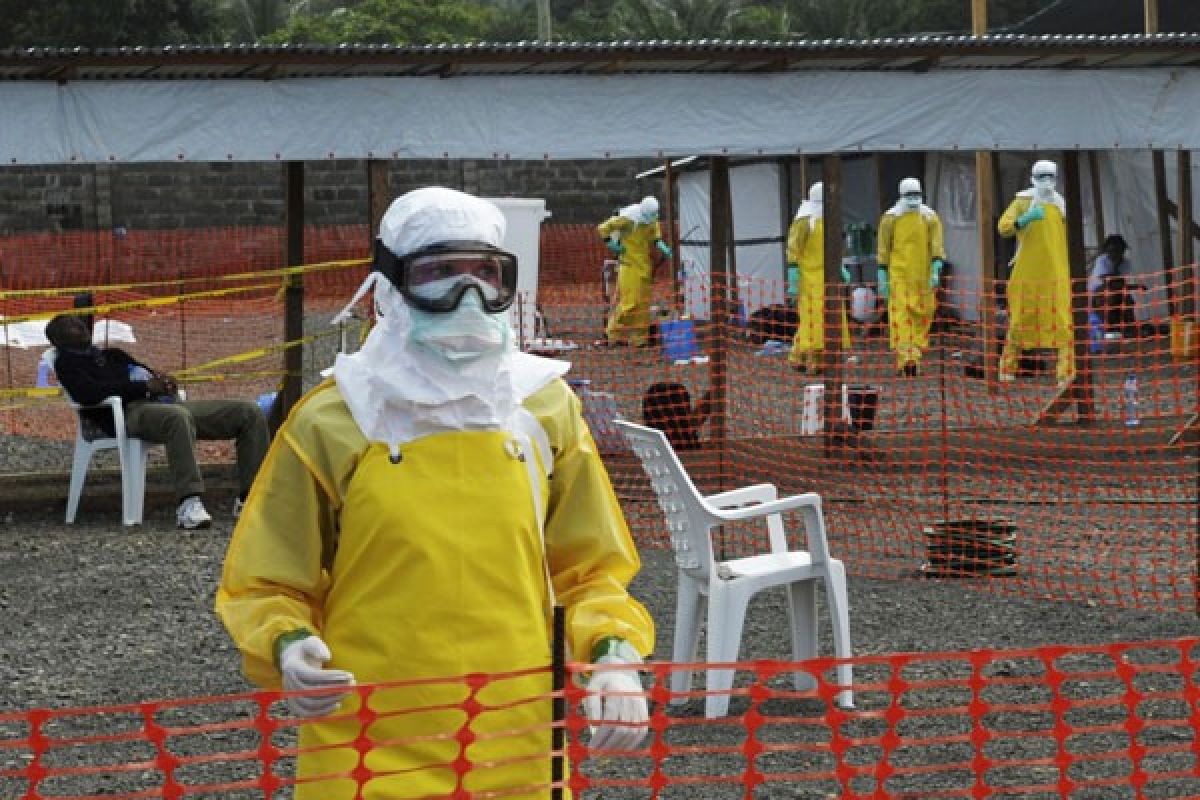 Personel Misi PBB positif tertular Ebola di Liberia