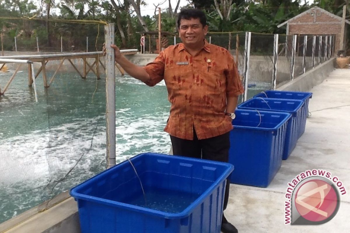 Belajar Dari Sail Raja Ampat