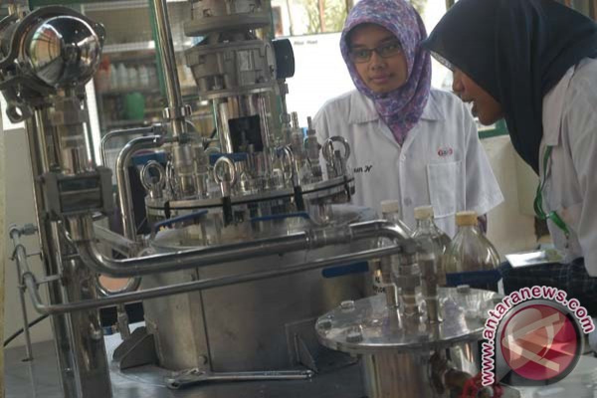 Minyak sawit mulai dikembangkan jadi bensin dan LPG melalui co-processing