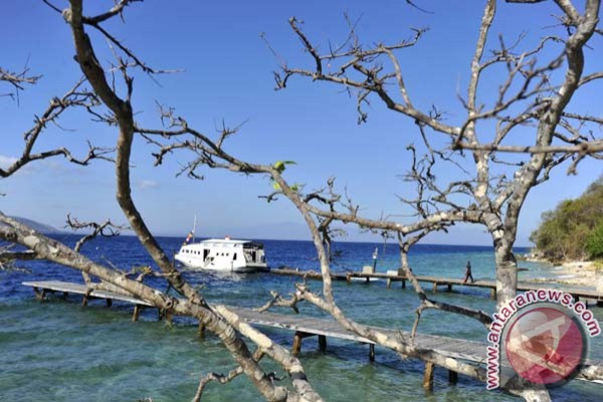 Sail Moyo diharapkan mampu bangkitkan pariwisata NTB pascagempa