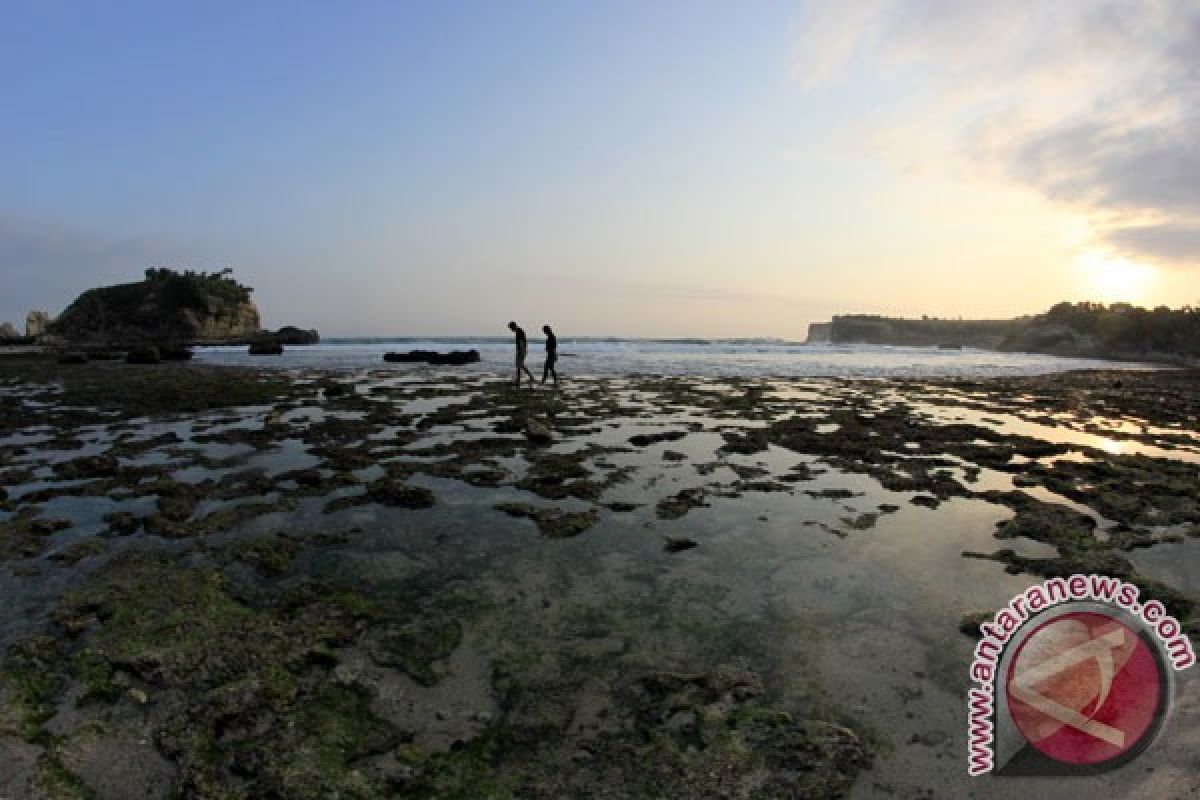 Pacitan targetkan kunjungan dua juta wisatawan