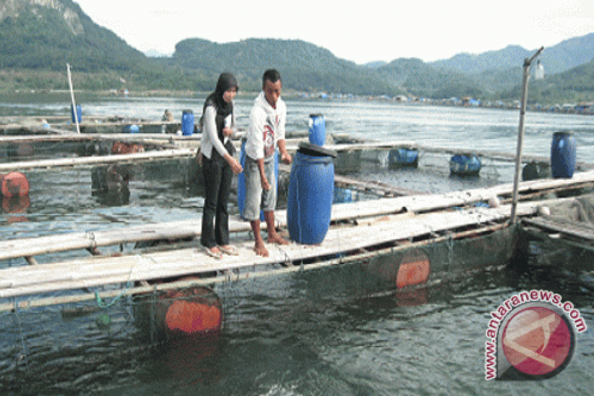 Bangka Barat Uji Coba Pembudidayaan Pola Keramba