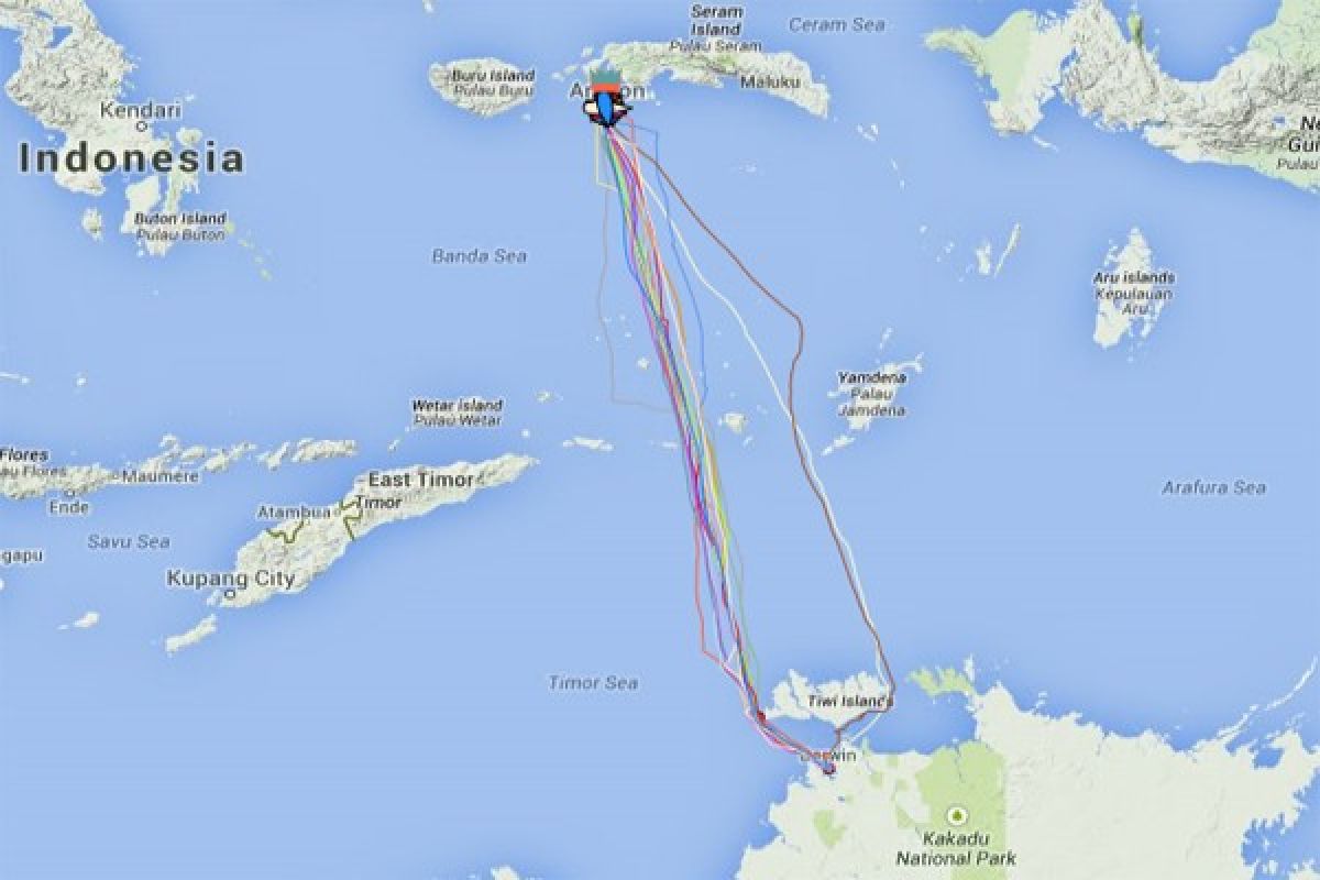 Pengamat: 10.000 yacht datang jika Perpres 105/2015 terimplementasikan