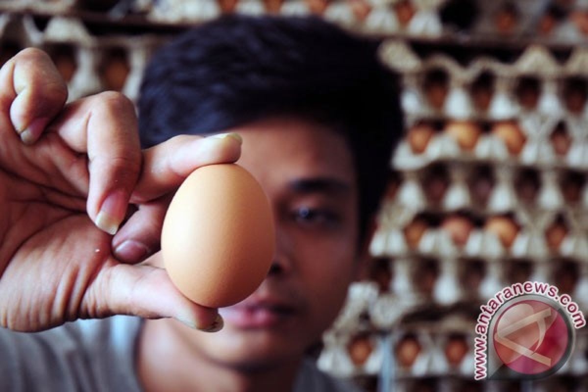 Konsumsi telur bisa turunkan risiko diabetes tipe 2