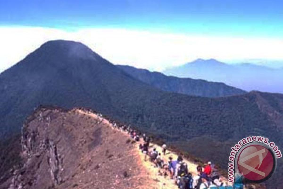 Jalur pendakian TNGGP kembali dibuka untuk umum