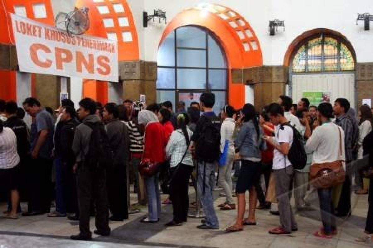 Pemkab Bengkalis Buka Lowongan 142 CPNS, Setengahnya Untuk Guru