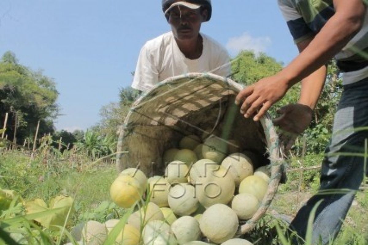 Perusahaan Harus Persiapkan SDM untuk Bersaing