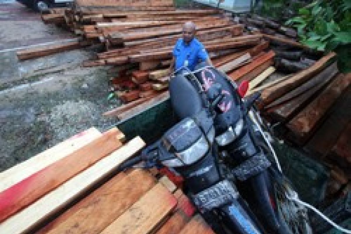 Polisi Tetapkan Dua Tersangka Pembalak Hutan Batam