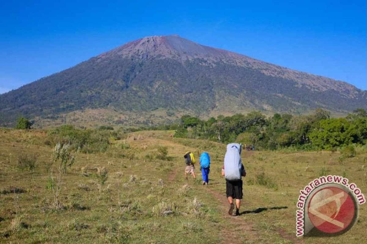 Wisatawan ke Rinjani Capai 10.000 Orang