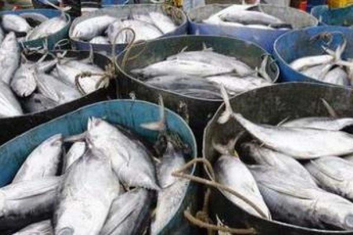 Target produksi ikan tawar dan laut Pasaman Barat 116.220 ton pada 2018