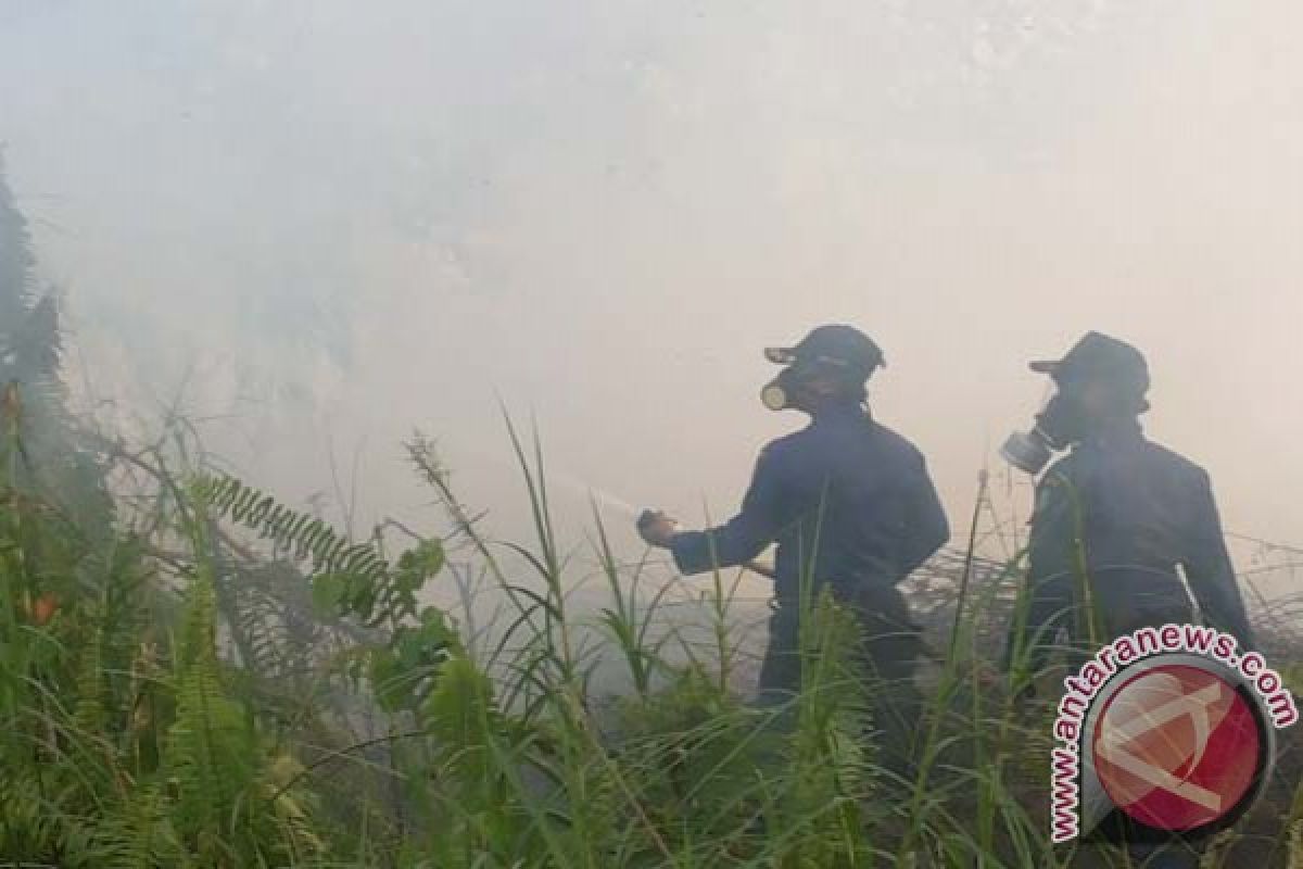 Polres Kotawaringin Timur selidiki penyebab kebakaran lahan
