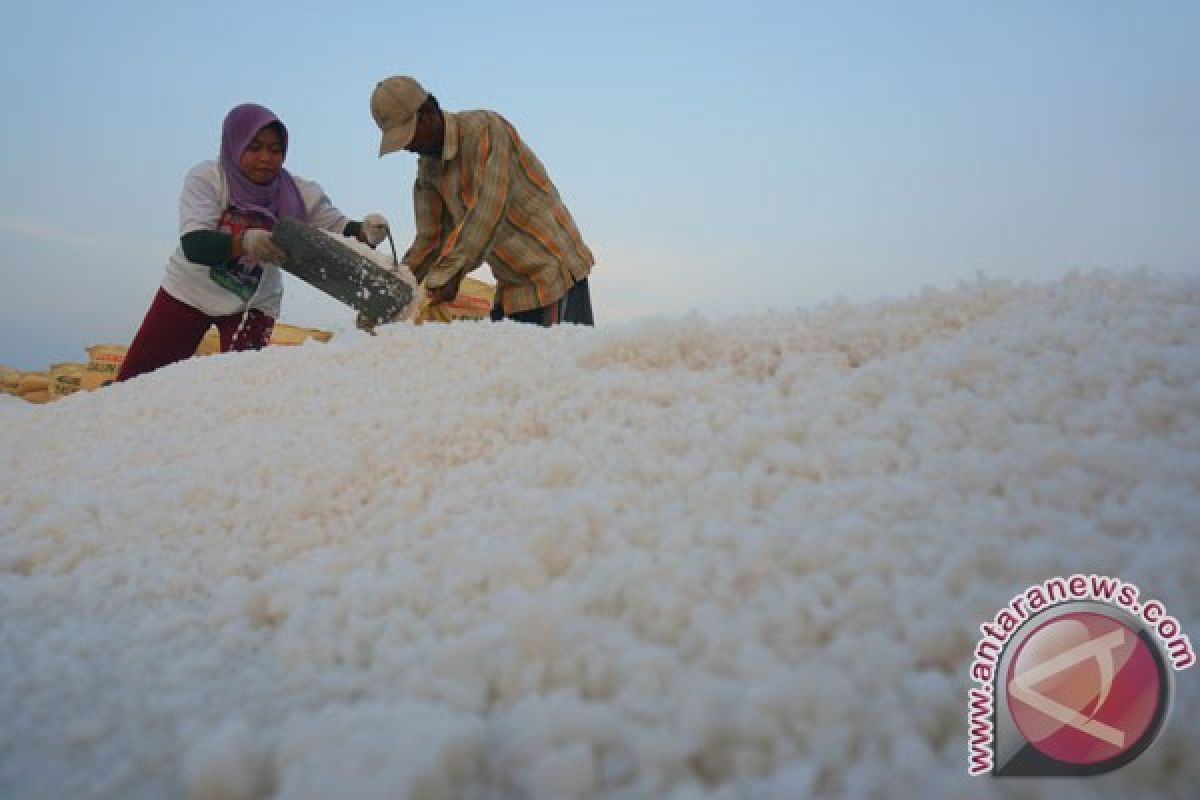 Asosiasi Petani Garam minta pemerintah bentuk lembaga stabilisator harga