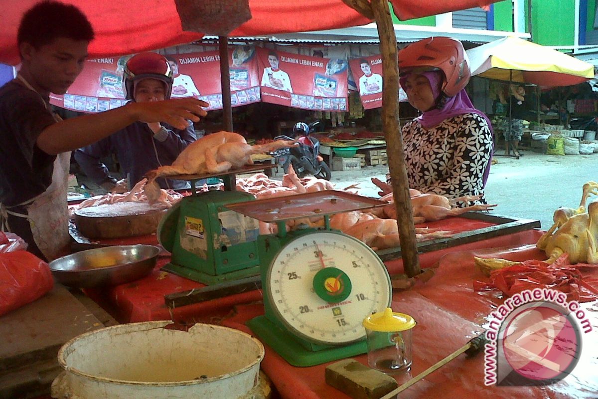 Pedagang Daging Ayam Andalkan Pasokan Lokal