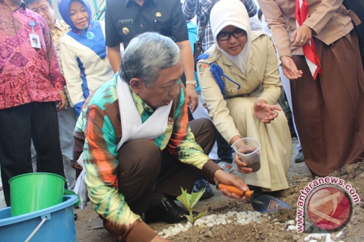 Menristek Uji Penanaman Jati Berlian