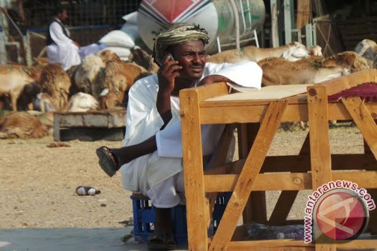 Calo pembayaran dam ibadah haji mulai berkeliaran