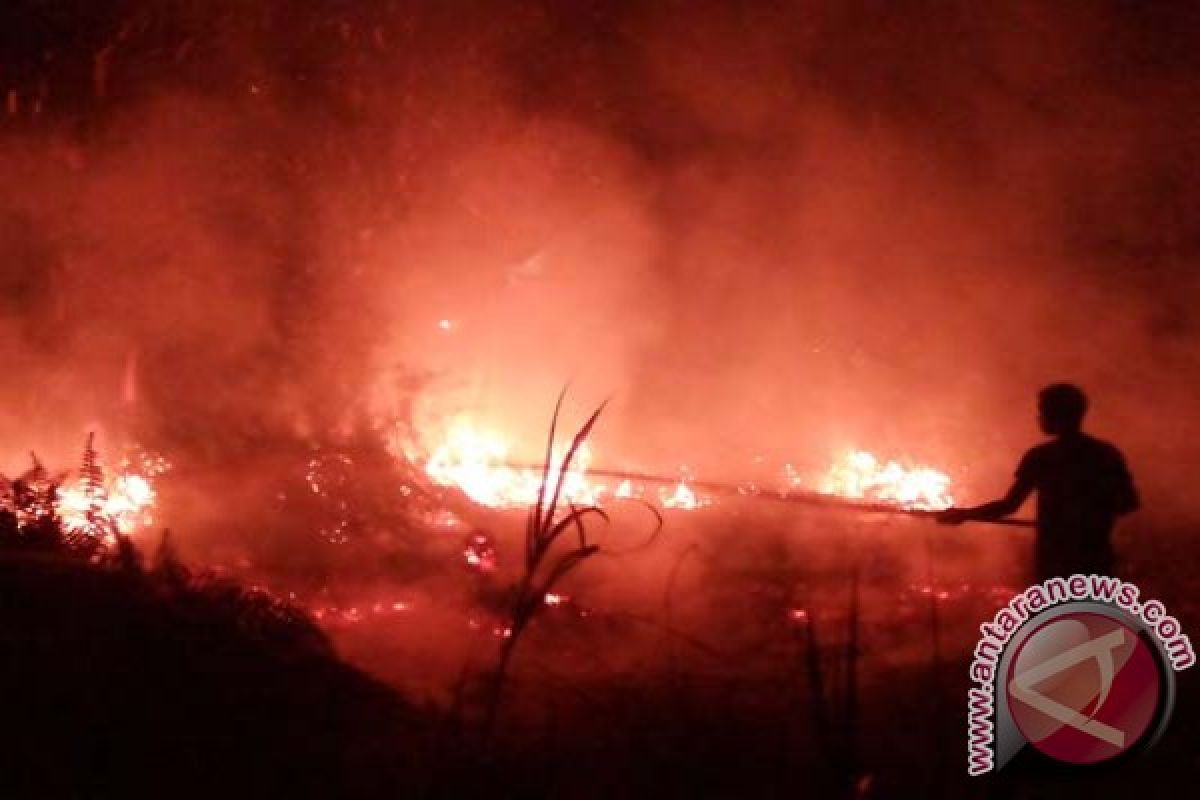 Wagub Kalteng pantau pemadaman lahan terbakar