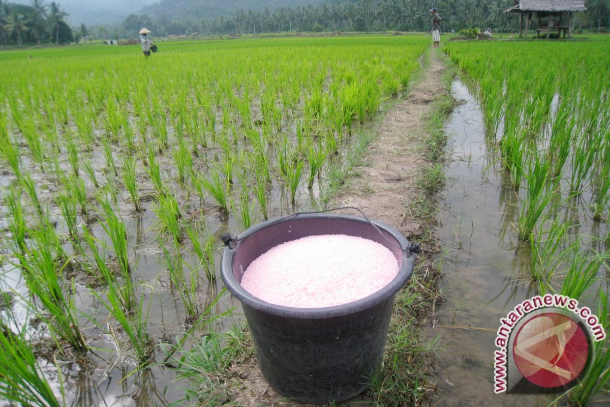 Petani Harap Pemerintah Kawal Stok-Harga Pupuk