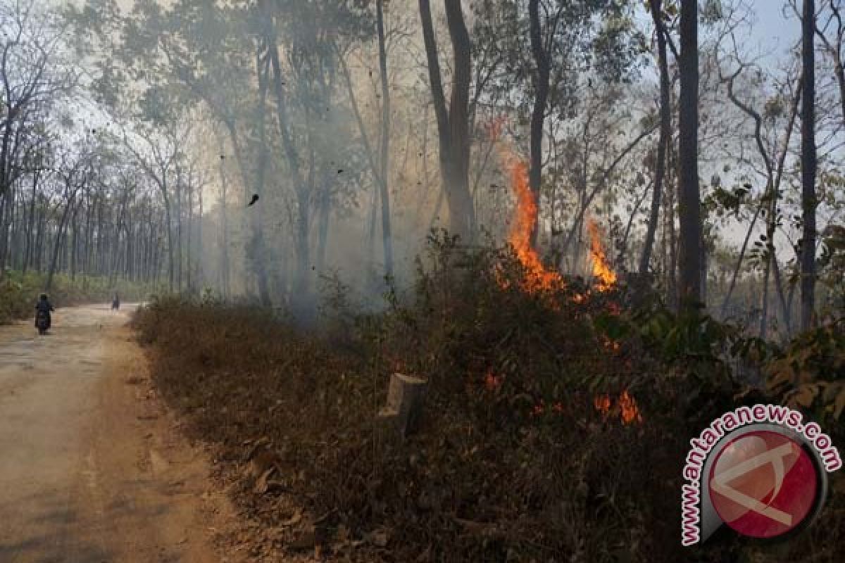 Hutan Bukit Soeharto terbakar