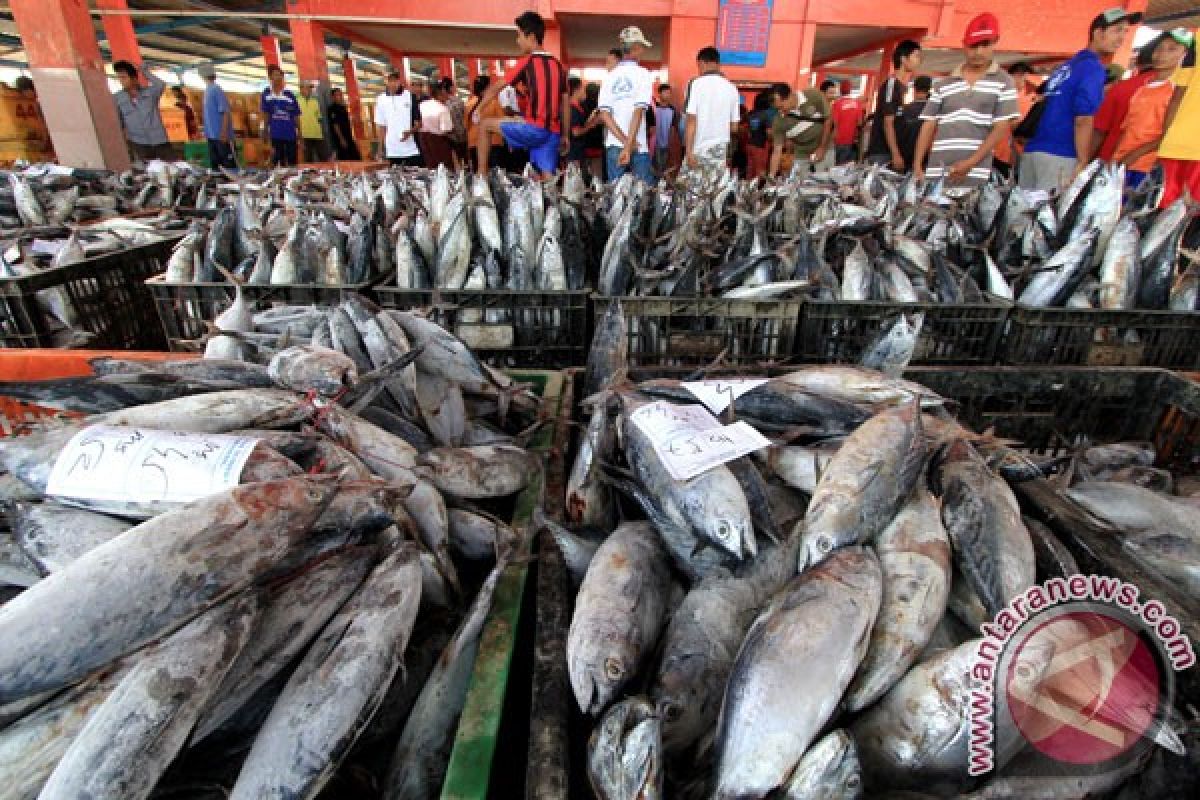 Marine fish supply abundant in Banjarmasin