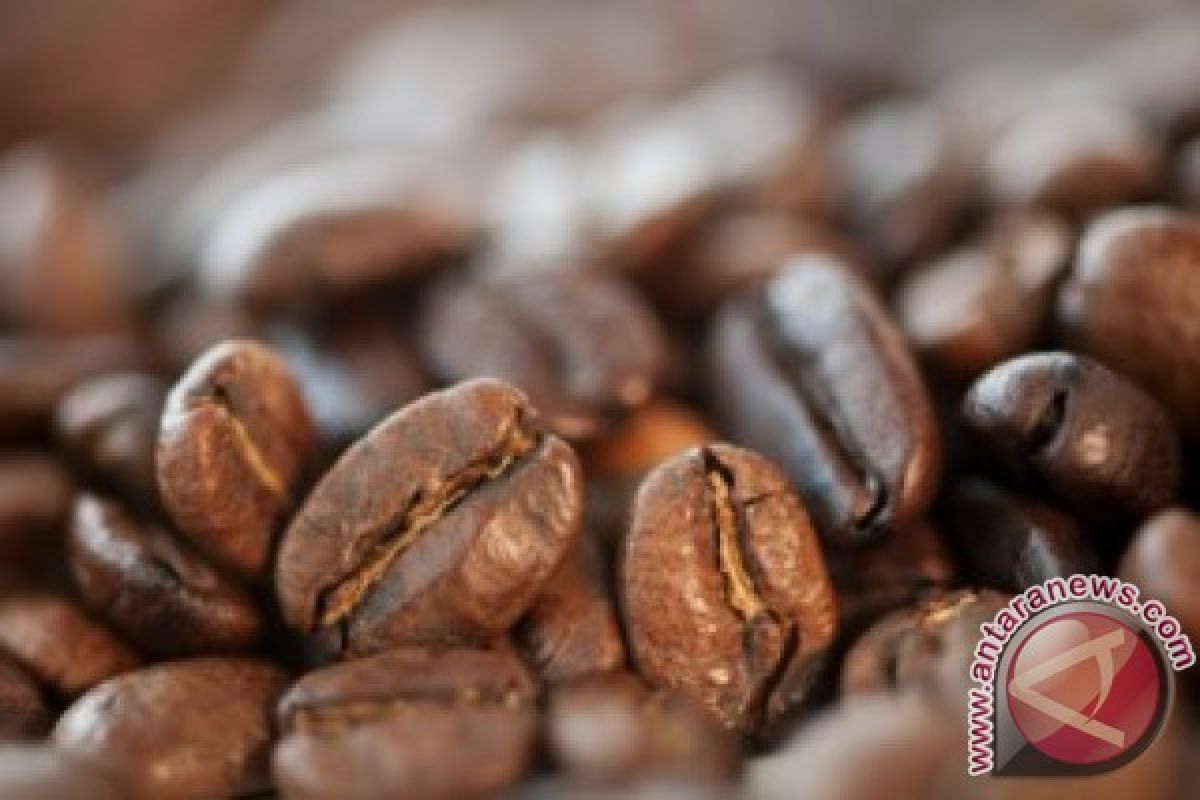 Ekspor kopi Gayo turun 39,03 persen