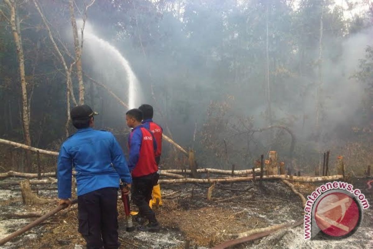 Puluhan hektare hutan gambut OKU terbakar